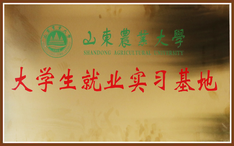 首页| 888集团电子游戏官方网站