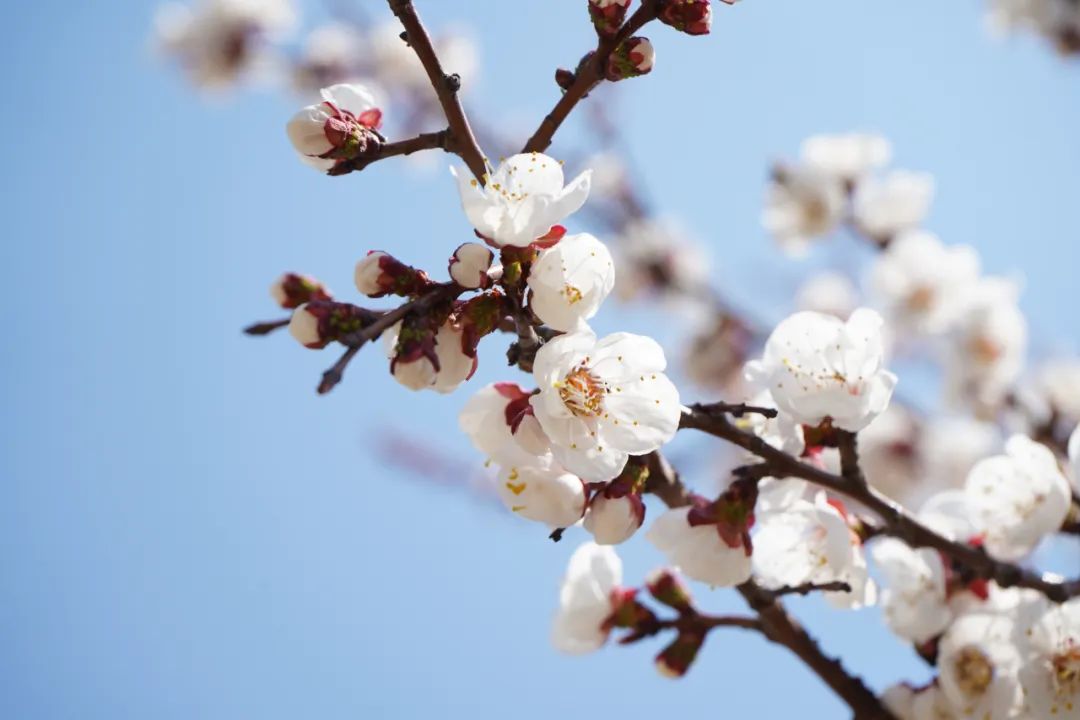 首页| 888集团电子游戏官方网站