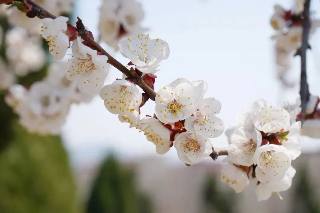 首页| 888集团电子游戏官方网站