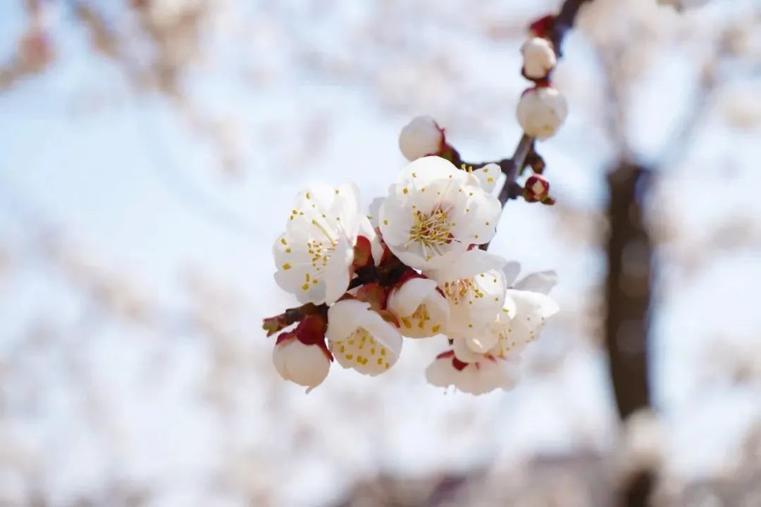 首页| 888集团电子游戏官方网站