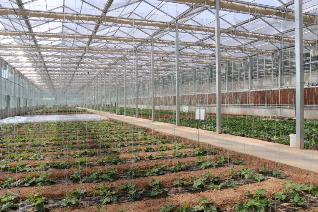 首页| 888集团电子游戏官方网站