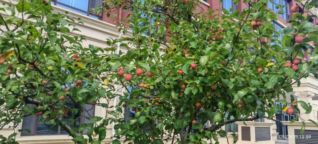 首页| 888集团电子游戏官方网站